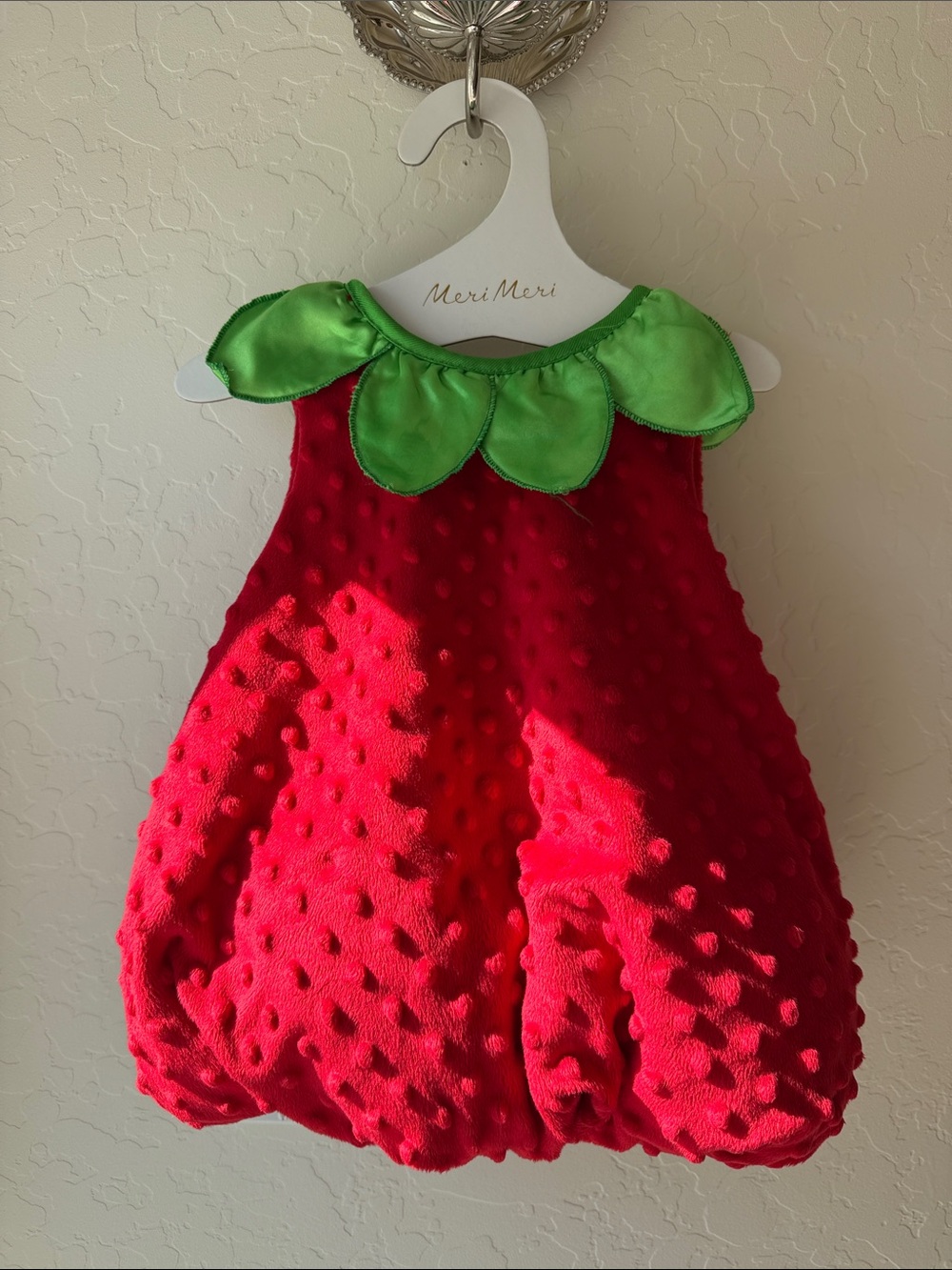 Strawberry Costume